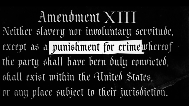 The Thirteenth Amendment